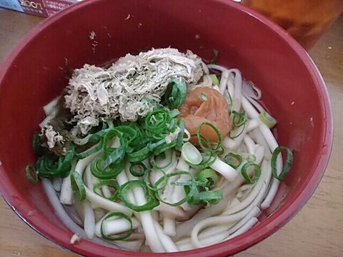 はちみつ梅干しととろろ昆布もやしうどん